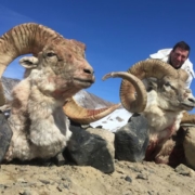 La caza en Tadjikistán, el destino más exótico para tus cacerías