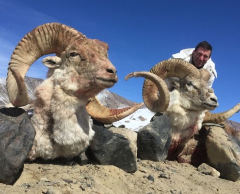 La caza en Tadjikistán, el destino más exótico para tus cacerías