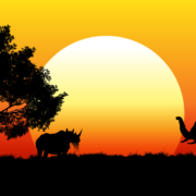 Safaris fotográficos Africa